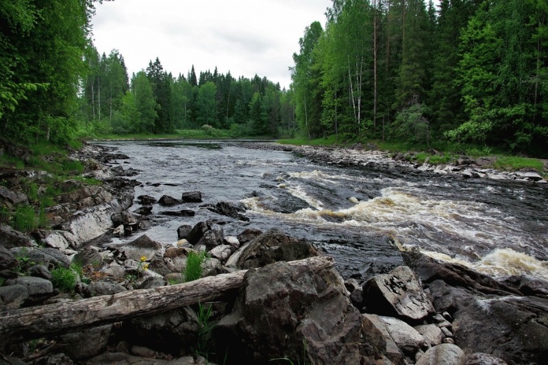 Река Янис (Янисйоки)