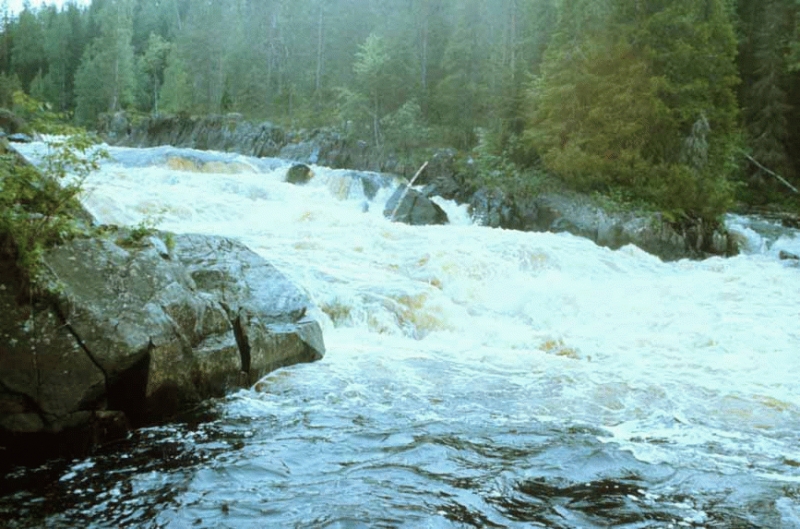 река Водла