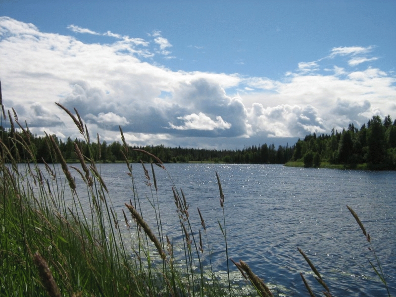 река Водла