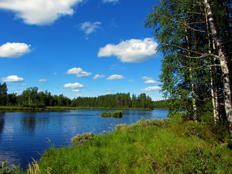 река Суна