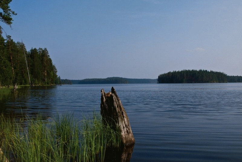 река Суна