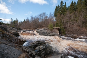 Сплав по реке Лоймола - Карелия 26500руб.(4 дня -3 ночи) (3 дня-2ночи) 2026г.