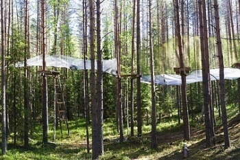 Весёлые покатушки!