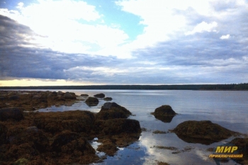 Сплав по реке Кереть с выходом в Белое море «ТO SEE THE RIVER» 3 дня/ 2 ночи 2026г.