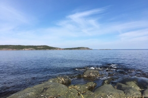 Сплав по реке Кереть с выходом в Белое море 7 дней/ 6 ночей.