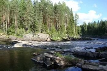 Сплав по реке Чирко-Кемь (7 дней / 6 ночей) Карелия.